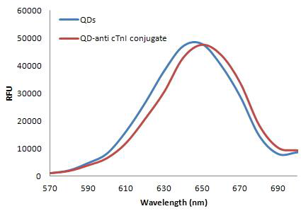 Emission red shift QD/anti-cTnI 19C7 conjugation