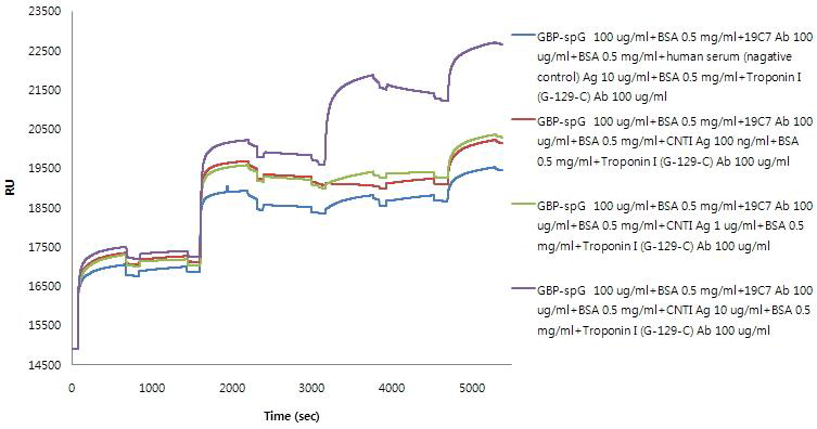 SPR non-specific binding test of anti-cTnI G129C polyclonal antibody