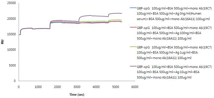 SPR non-specific binding test of anti-cTnI 16A11 monoclonal antibody