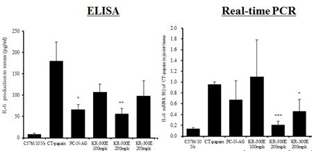 혈청 및 관절 조직 내 염증성 매개인자 IL-6의 수준변화