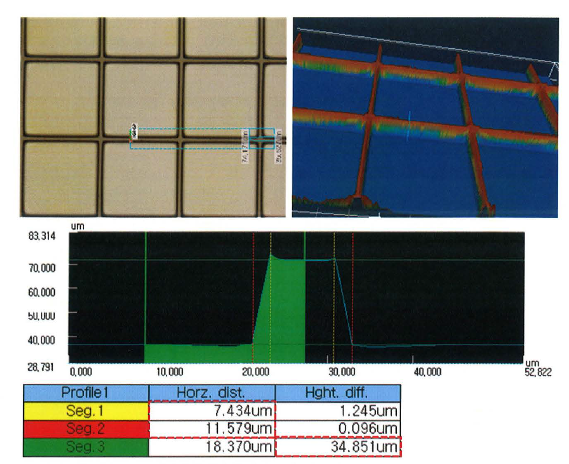PET 기판위에 형성된 격벽 두께 및 폭을 3D현미경으로 측정한 결과
