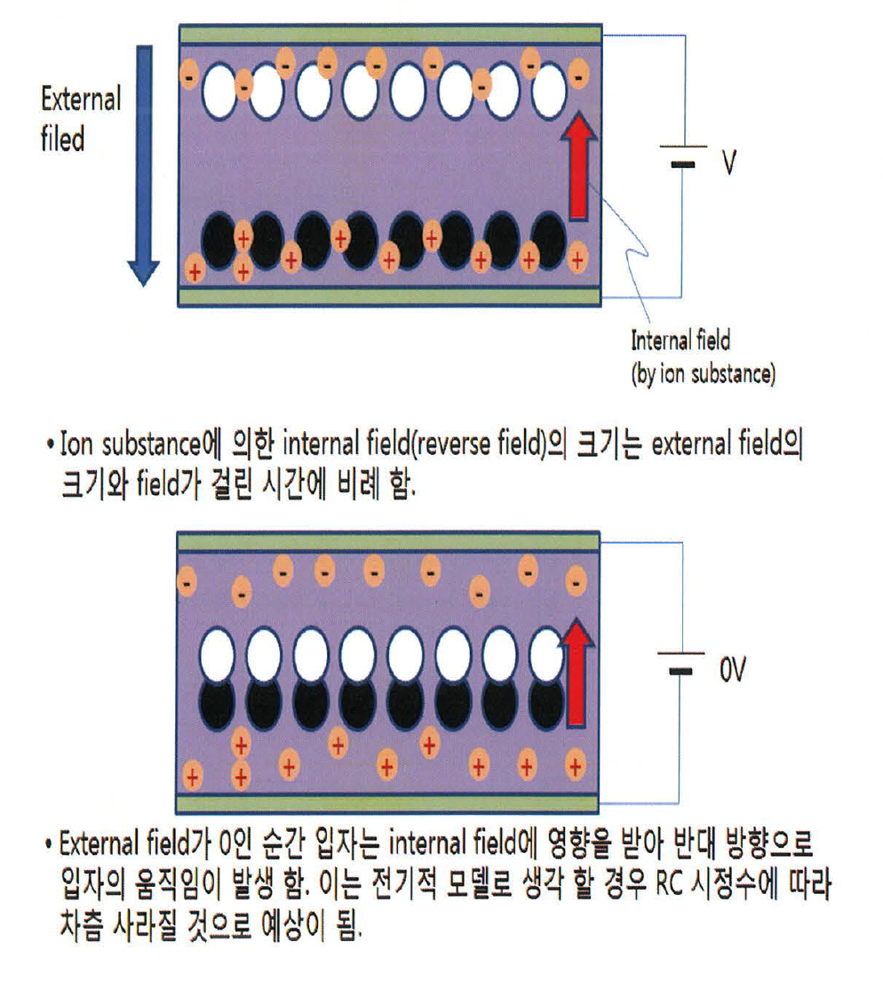 내부 이온성 불순물에 의한 역기전력