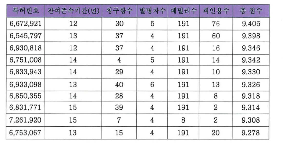 Sipix사 특허의 특허수준평가 수치 분석