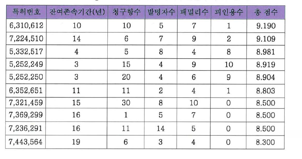 Bridgestone사 특허의 특허수준평가 수치 분석