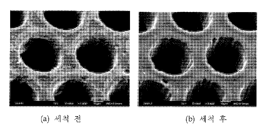DI water, IPA 세척 전/후의 SEM 사진