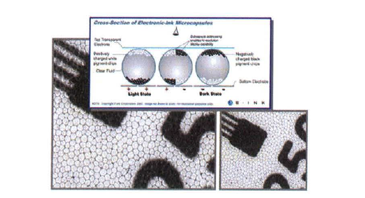 E-Ink 전자종이 마이크로 캡슐의 구조