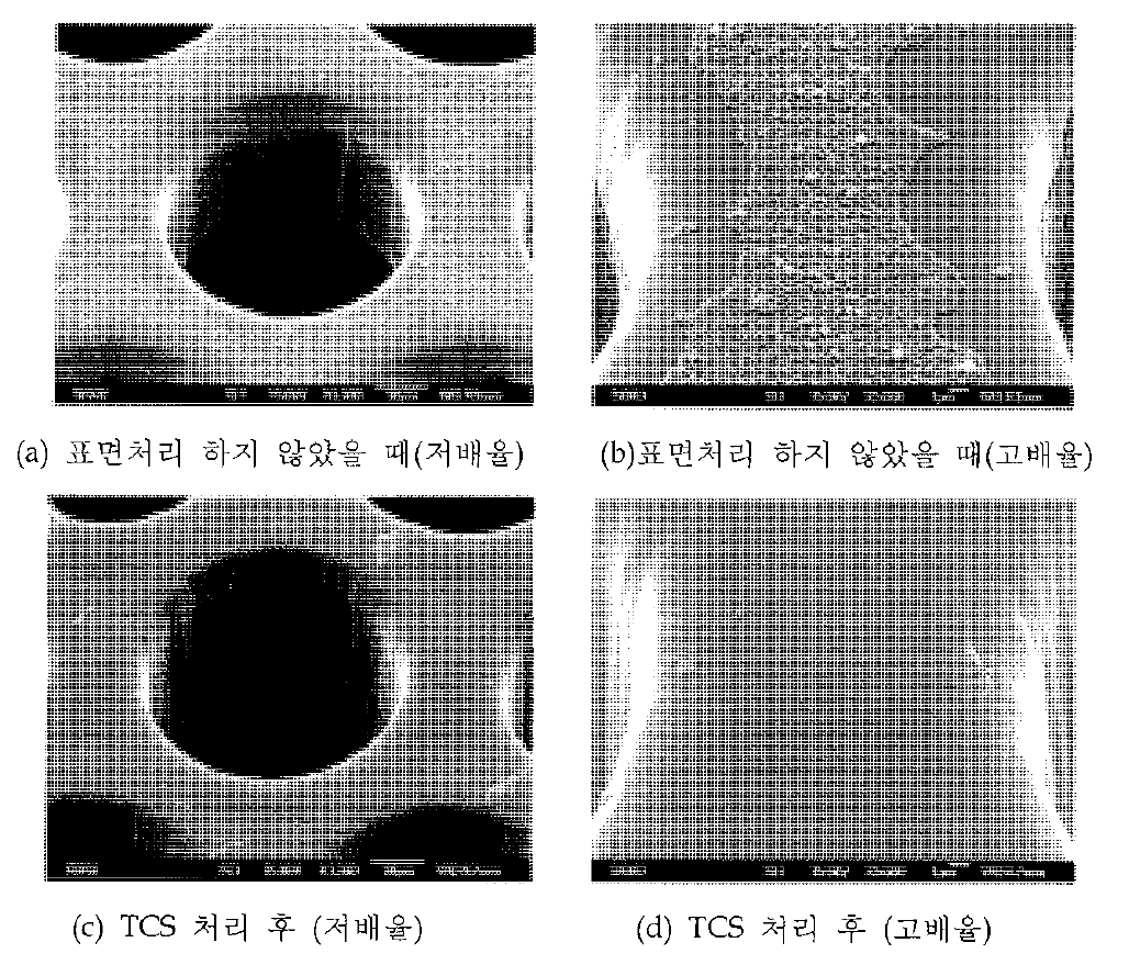 표면처리에 따른 중간층의 SEM 사진