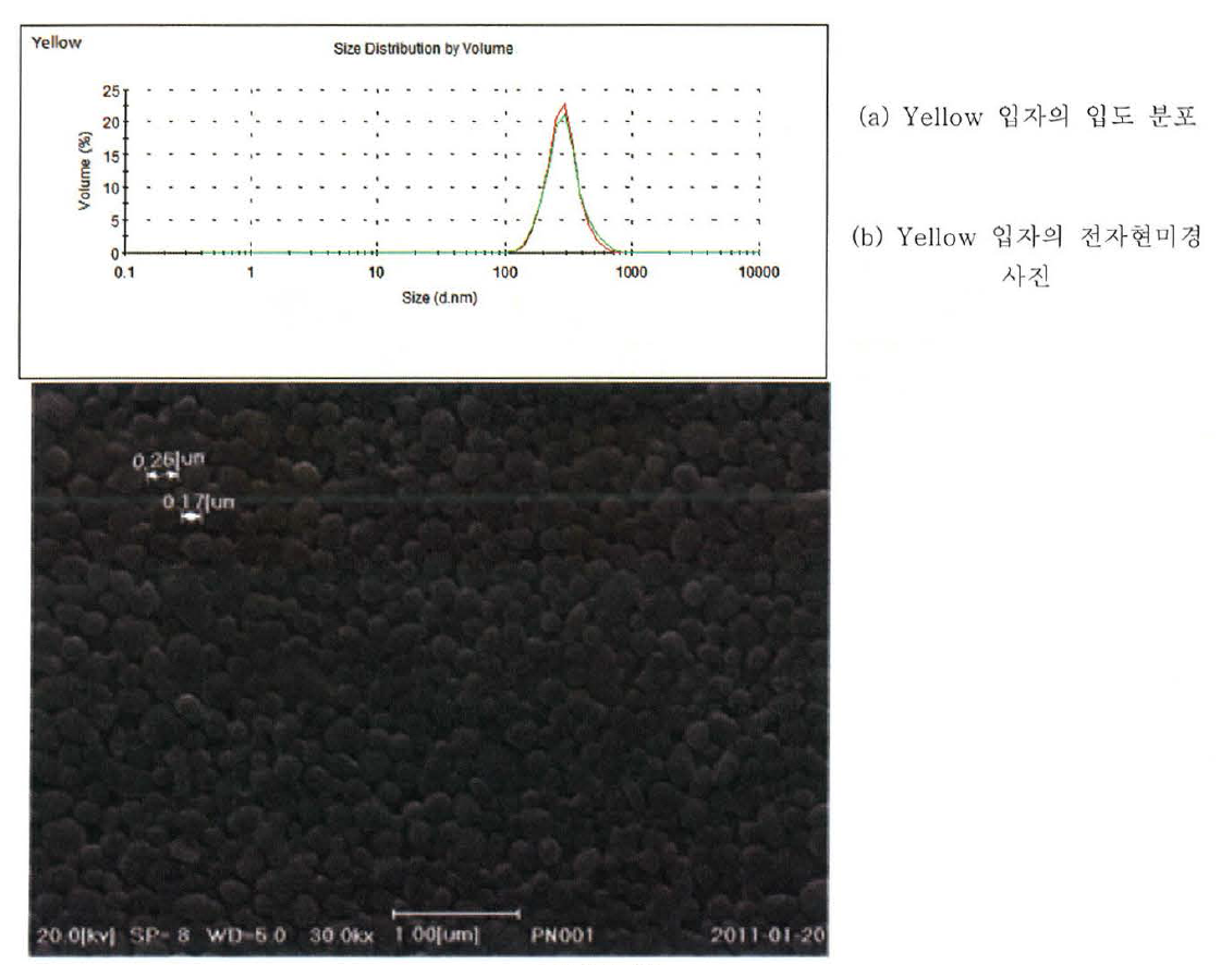 상분리법을 이용하여 제조된 Yellow 입자의 정제 후, 입도 분포 및 전자현미경 사진