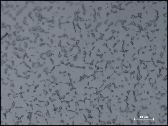 800℃에서 열처리 한 Ti-6Al-4V 합금의 OM사진