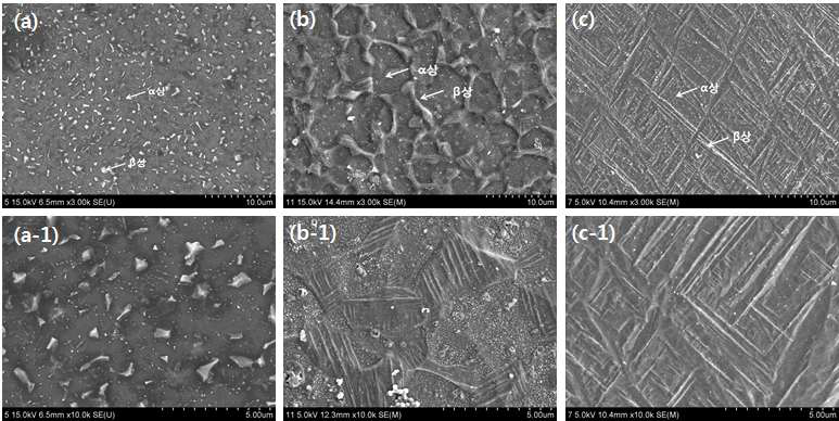 Ti-6Al-4V합금의 FE-SEM 이미지