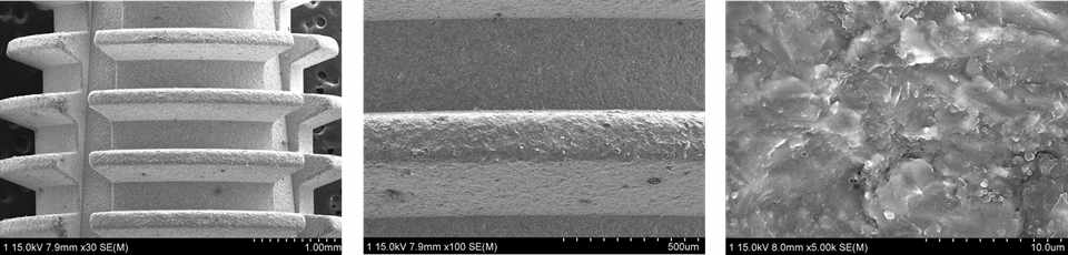 sandblasting처리를 한 치과임플란트 표면의 배율별 FE-SEM사진