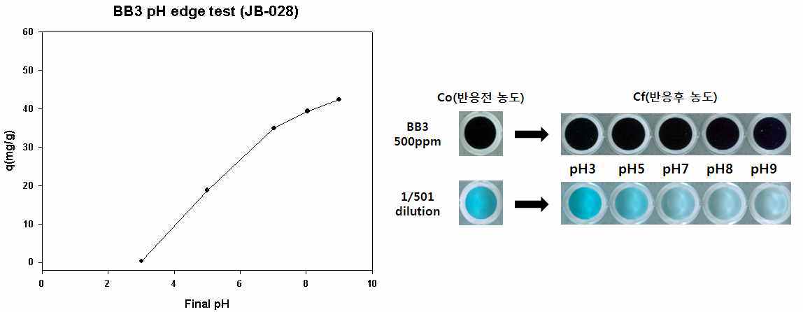 JB-028의 BB3 pH edge 분석