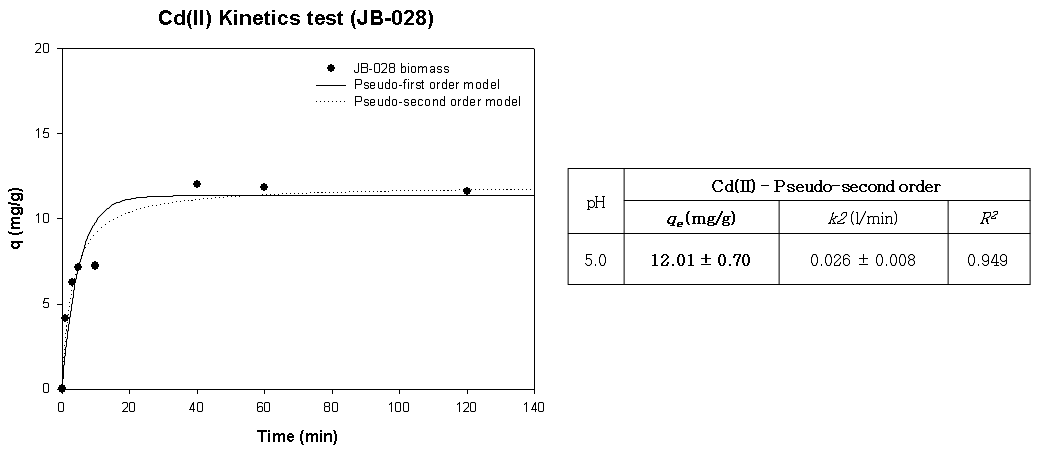 JB-028의 Cd(Ⅱ) Kinetic 분석