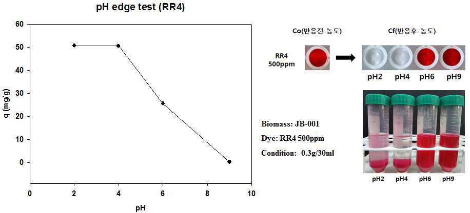 JB-001의 RR4 pH edge 분석