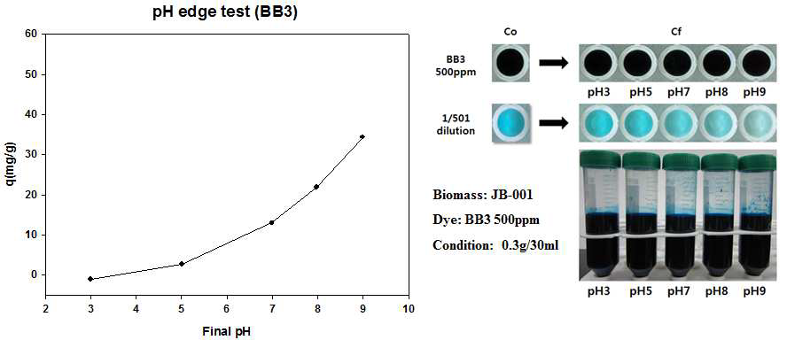 JB-001의 BB3 pH edge 분석