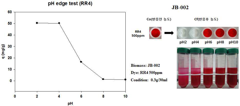 JB-002의 RR4 pH edge 분석