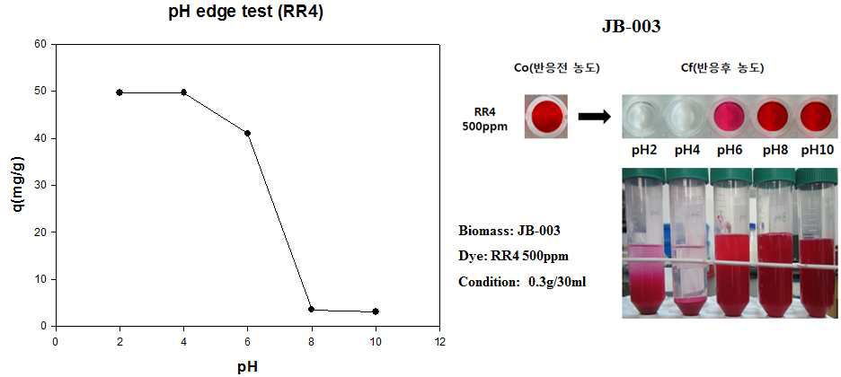 JB-003의 RR4 pH edge 분석