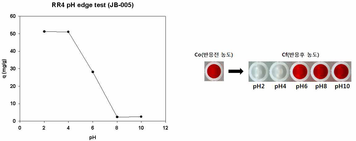 JB-005의 RR4 pH edge 분석