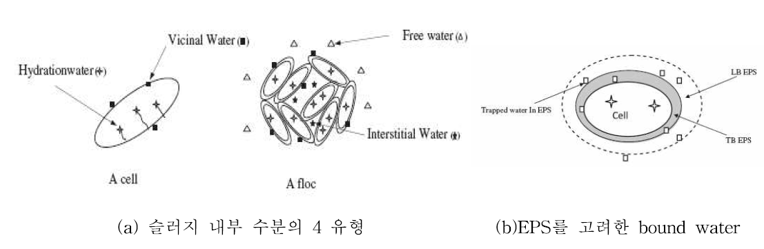 EPS를 고려한 슬러지의 수분 유형별 개념도