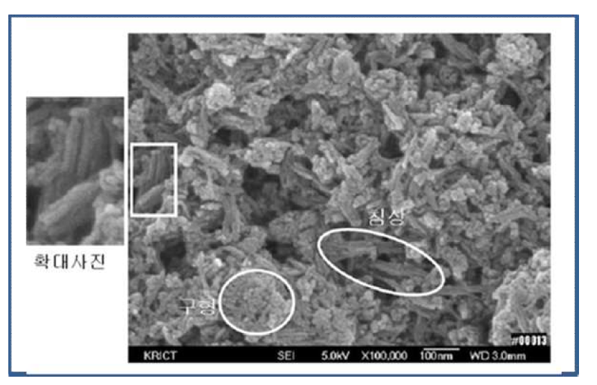 전자현미경(SEM) 사진 예시 자료