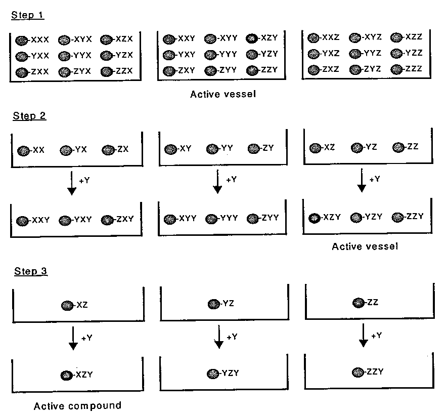 27개 라이브러리에 대한 디컨벌루션(deconvolution) 과정 예시