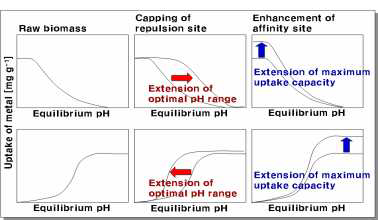 발효 균체를 이용한 흡착소재 흡착성능 향상 전략