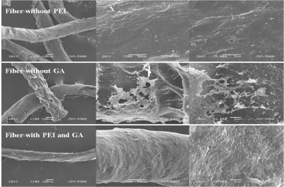 섬유형 흡착제의 SEM 사진