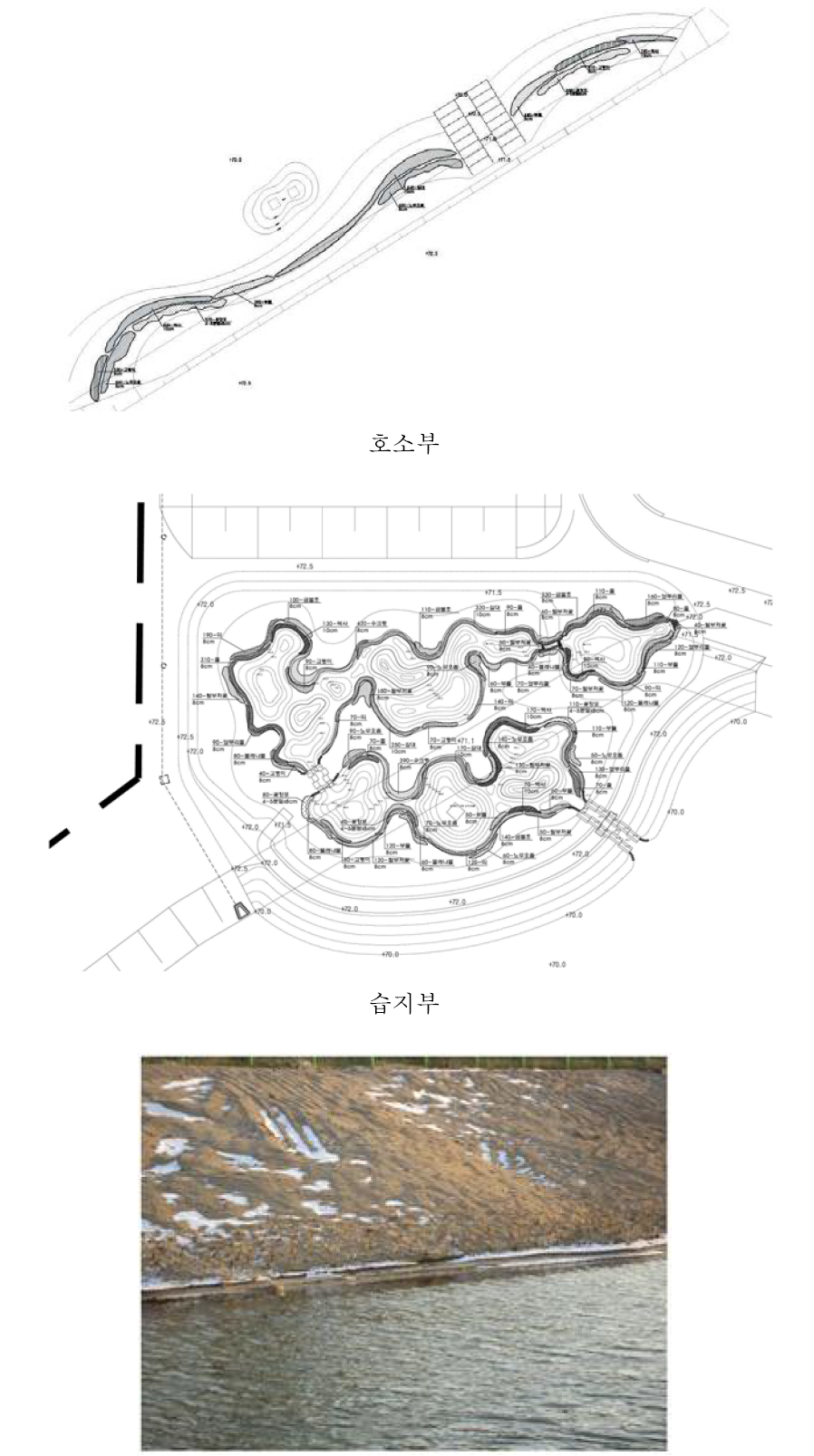 안동 테스트베드 식재 계획도 및 식재 현황