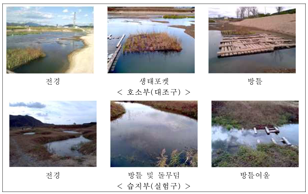 호소부 및 습지부의 전경 및 인공서식처 설치 현황