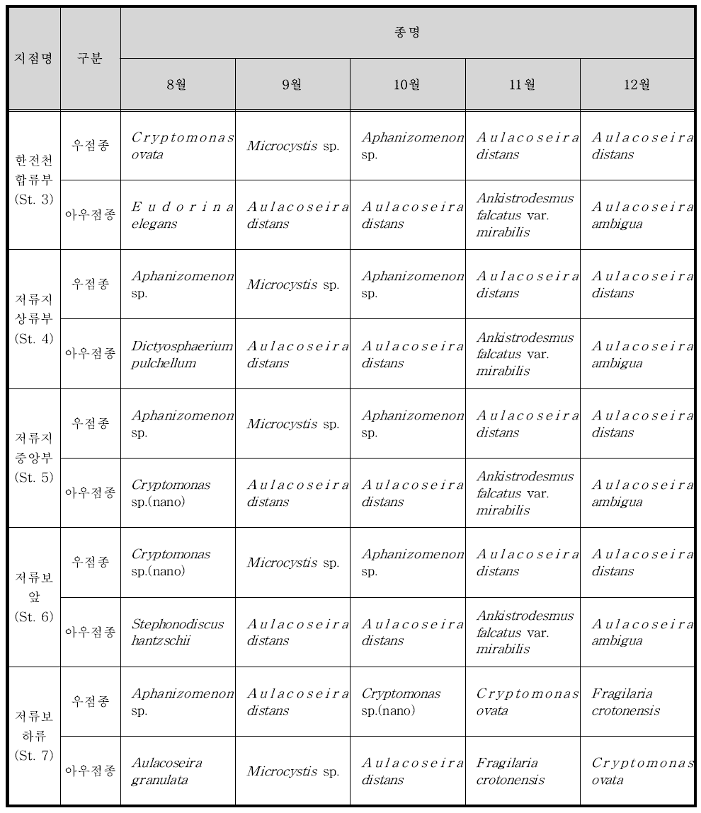 8～12월의 지점별 식물플랑크톤 우점종(세포수)