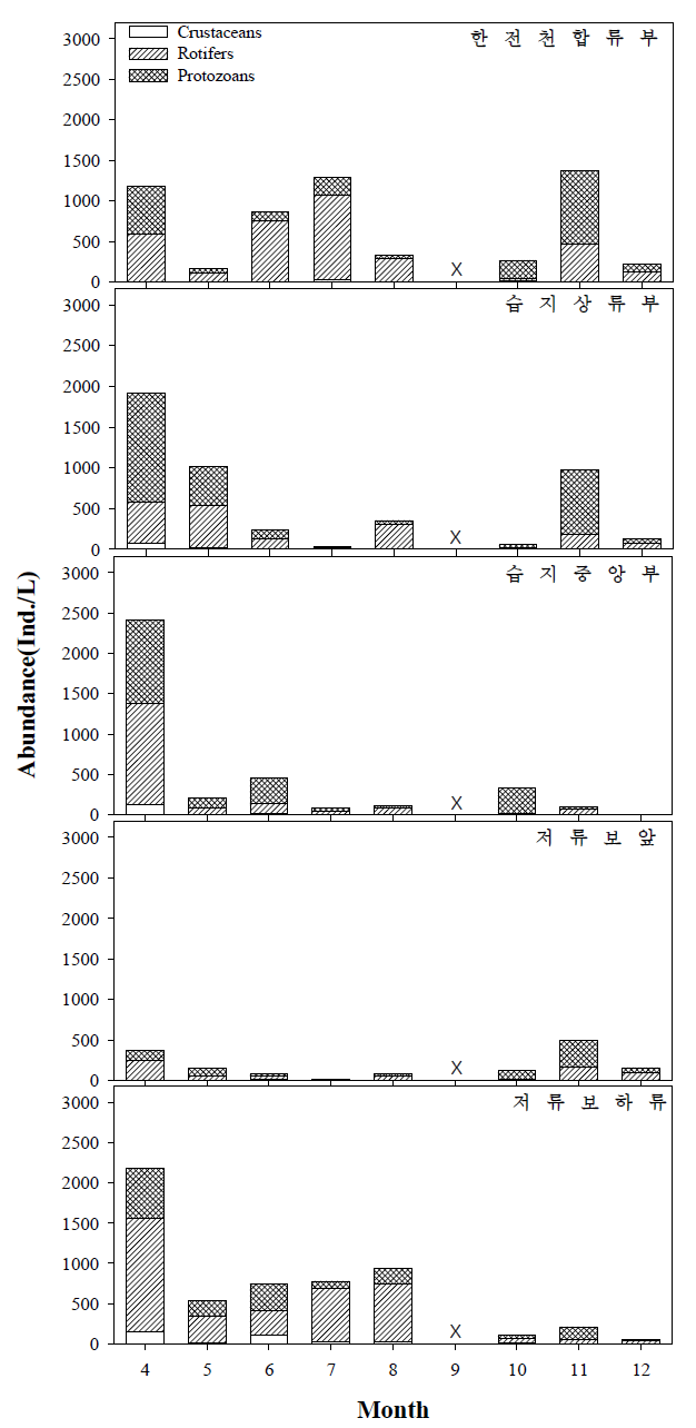 지점별 동물플랑크톤 개체수