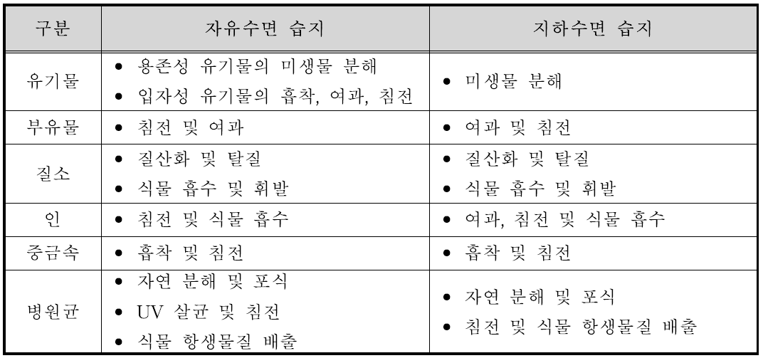 습지 내 오염물질 제거 기작