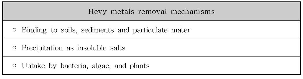 습지에서의 중금속 제거 기작