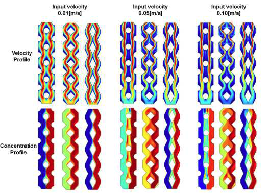 Velocity and concentration profile depend on input velocity