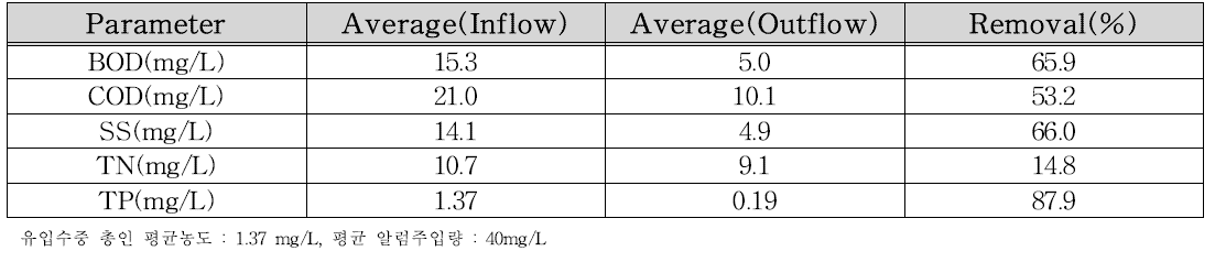 유입 원수 내 총인 농도별 평균처리 효율 (총인농도 : 1.37 mg/L)