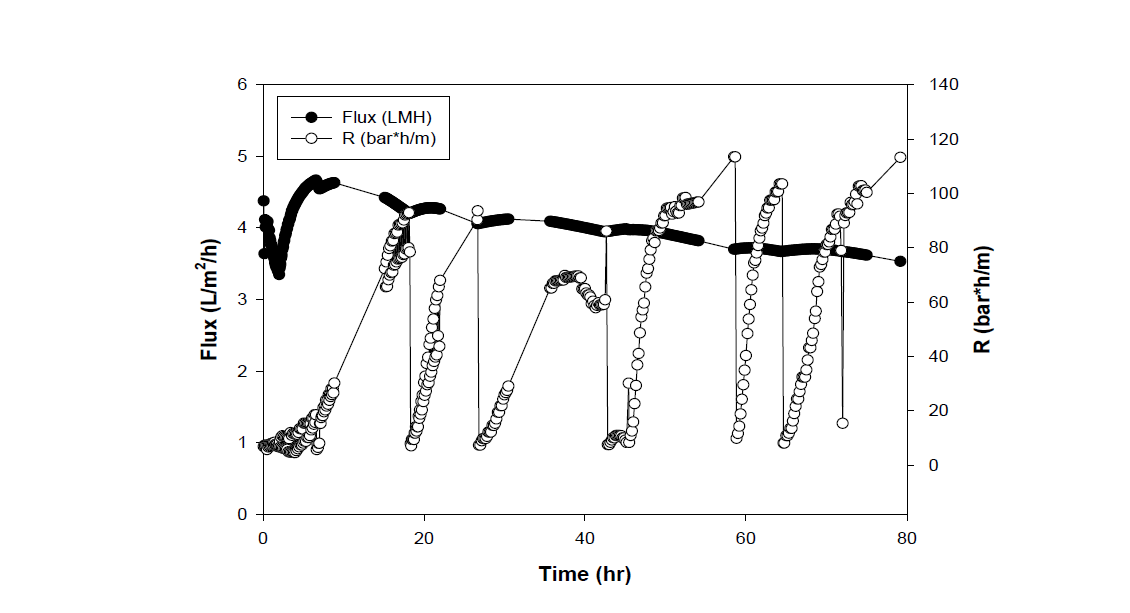 간헐여과의 flux 및 저항(R) 변화