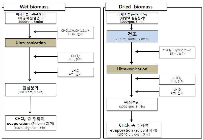 세포파괴법 중 ultra-sonication 후 lipid 추출 과정