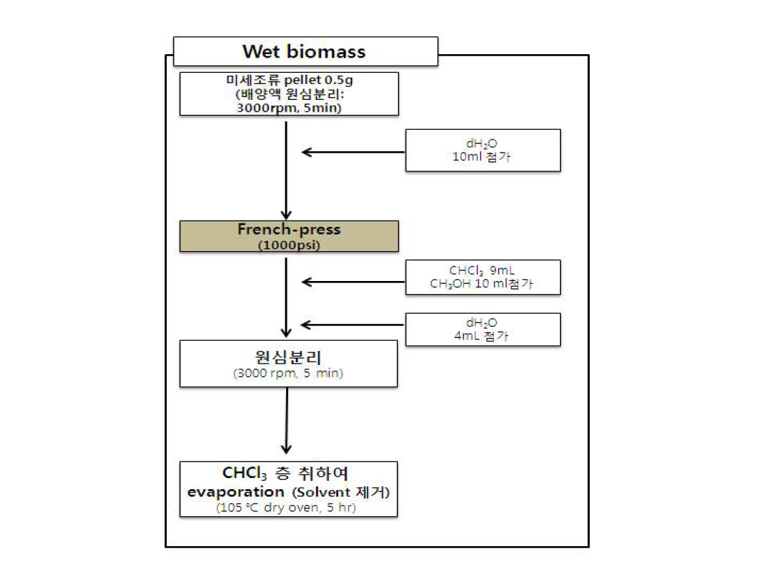 세포파괴법 중 French-press 후 lipid 추출 과정