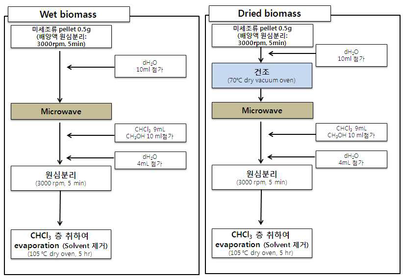 세포파괴법 중 Microwave 후 lipid 추출 과정