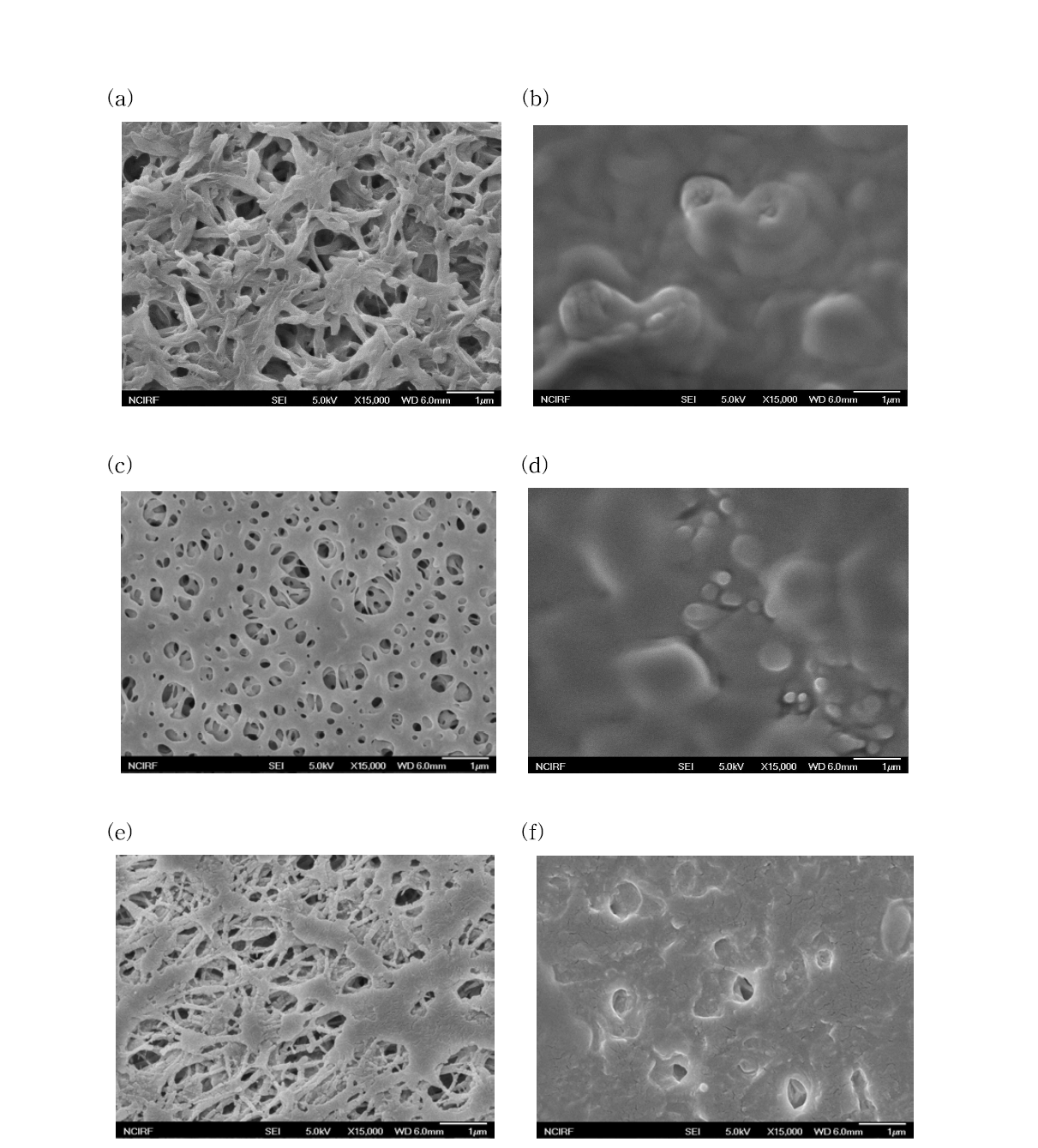 (c) hydrophilic PTFE 재질의 분리막 사용 전(좌), 후(우)의 모습