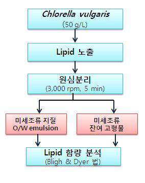 미세조류 lipid의 위치 파악을 위한 실험 방법