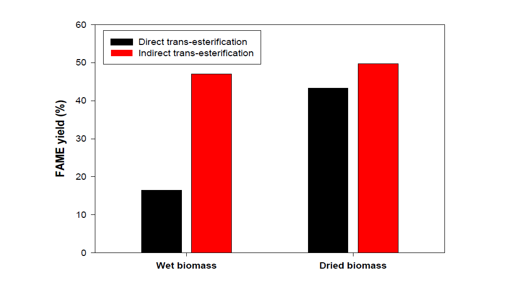 FAME 합성 수율 비교