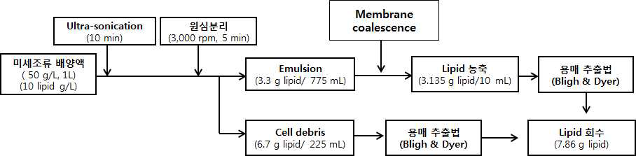 Lipid 회수 공정