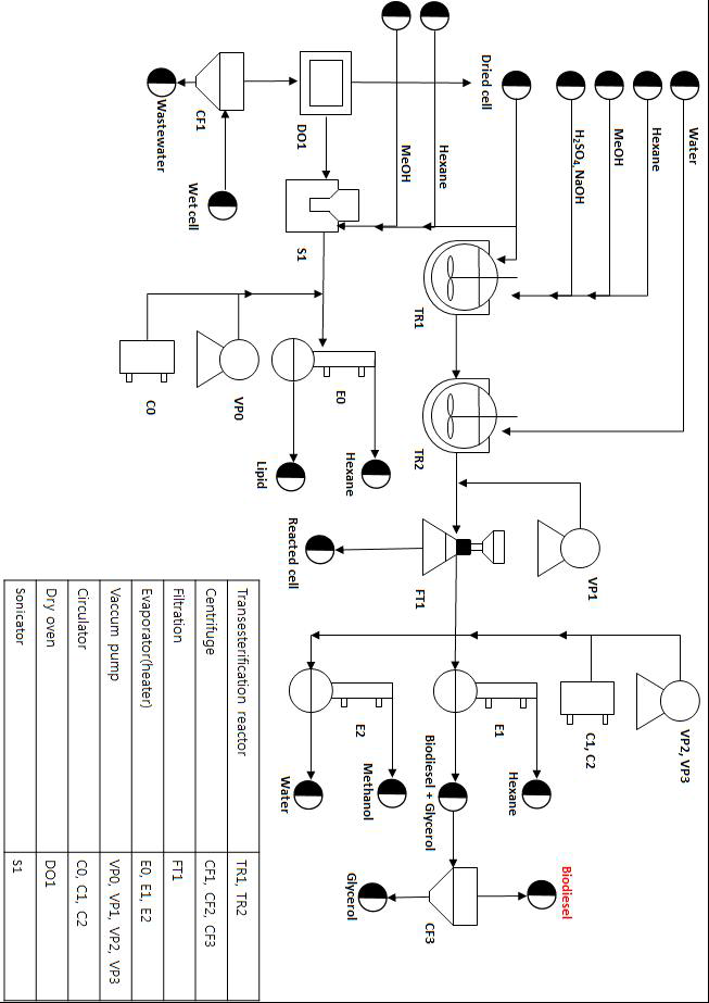 Extraction과 direct-transesterification 공정 모식도