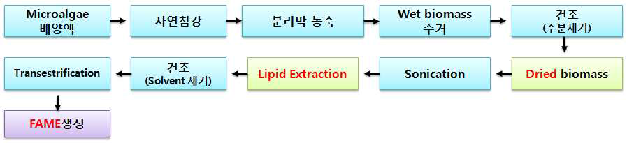 Biodiesel 합성 표준 공정(dried biomass의 indirect trans-esterification). 자연침강과 분리막 공정은 다른 단위공정(예, 응집/부상, 원심분리 등)으로 대체