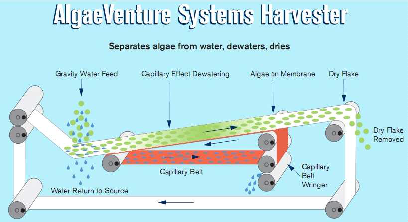 AlageVenture Systems Company 사의 미세조류 탈수/건조 장치