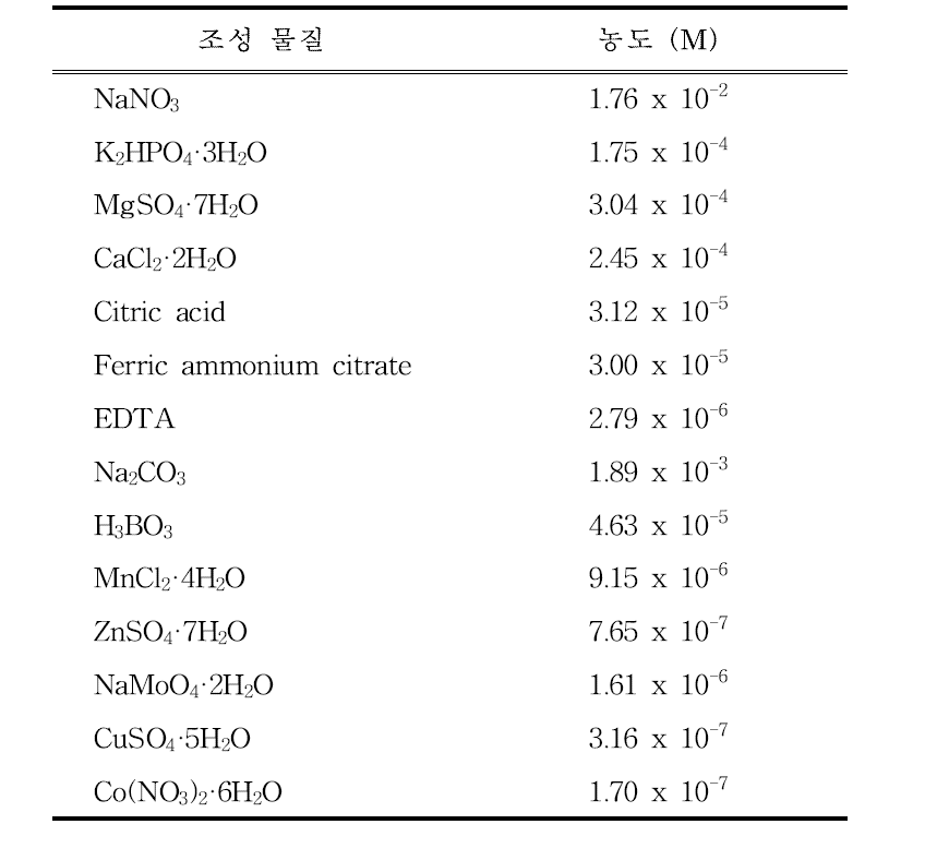 BG-11 조성