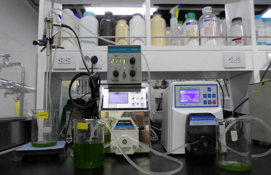 초음파 이용한 미세조류 biomass 농축 장치