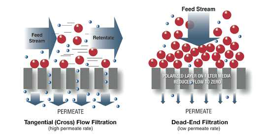 cross-flow(좌) 및 dead-end(우) filtration