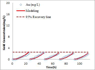 내부순환형 컬럼공정 Au(I) 장기운전 모델링 적용 : 흡착